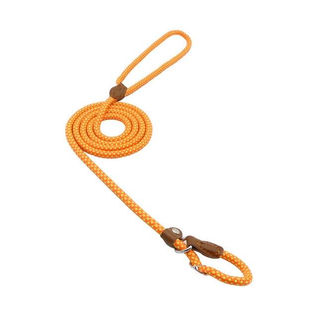 For the Pet Mom Who Wants One Tool That Does It All