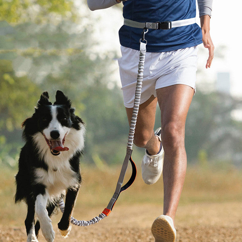 Outdoor Running Dog Leash for Pet Supplies