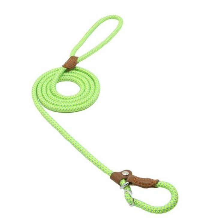 For the Pet Mom Who Wants One Tool That Does It All