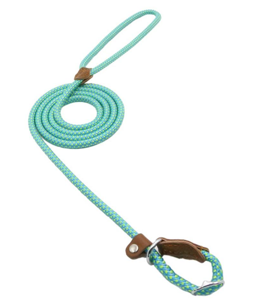 For the Pet Mom Who Wants One Tool That Does It All