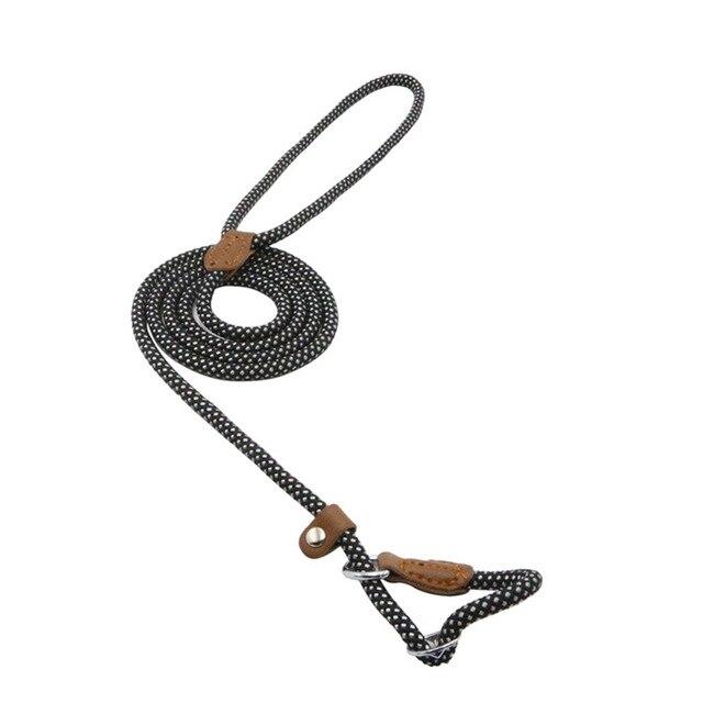 For the Pet Mom Who Wants One Tool That Does It All