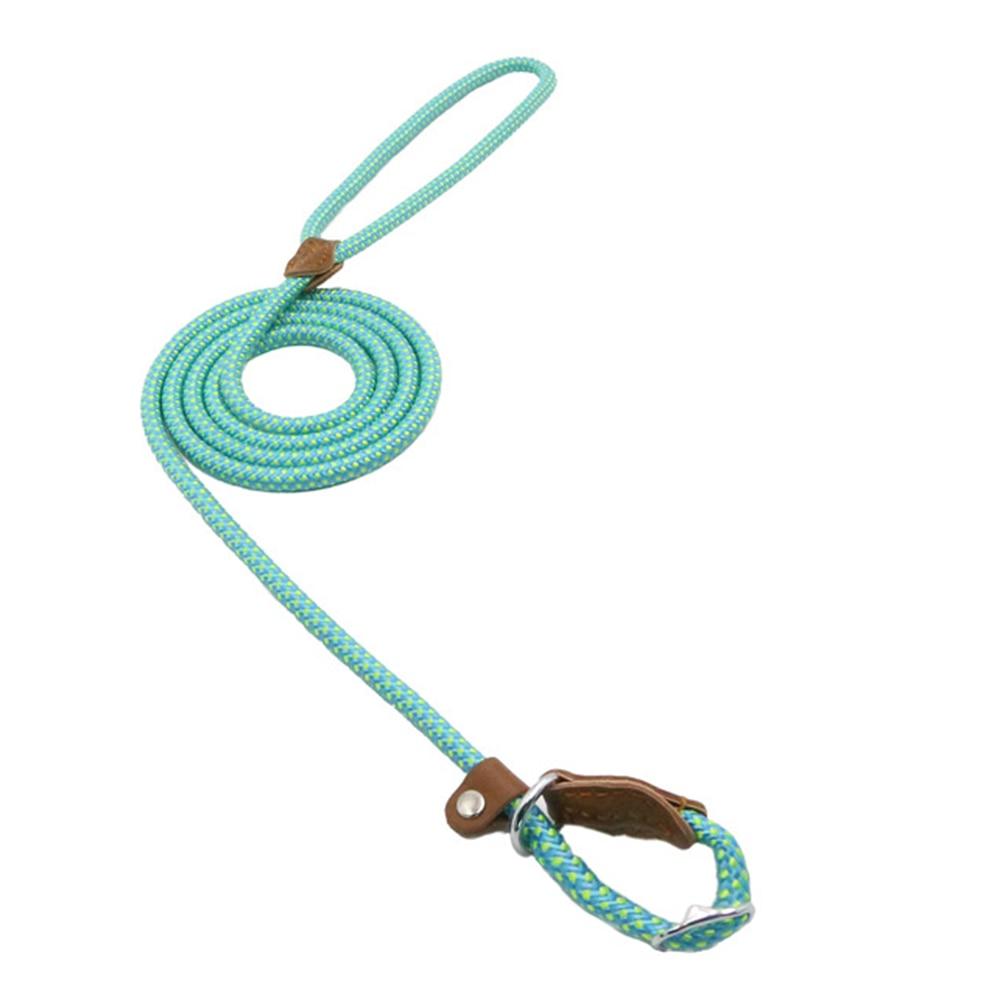 For the Pet Mom Who Wants One Tool That Does It All