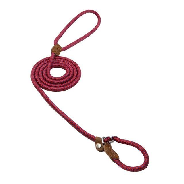 For the Pet Mom Who Wants One Tool That Does It All