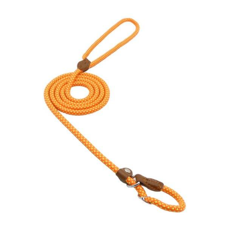 For the Pet Mom Who Wants One Tool That Does It All