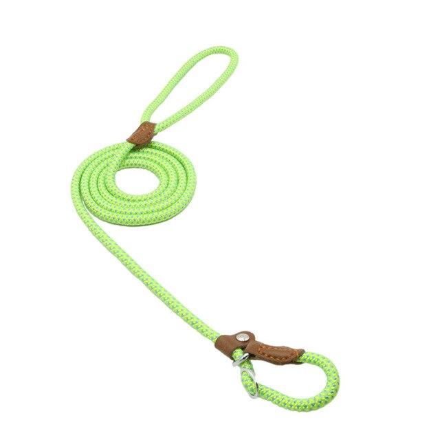 For the Pet Mom Who Wants One Tool That Does It All