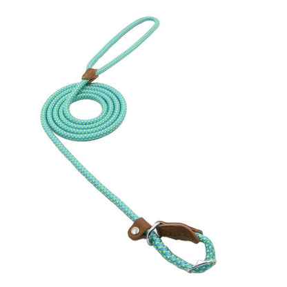 For the Pet Mom Who Wants One Tool That Does It All